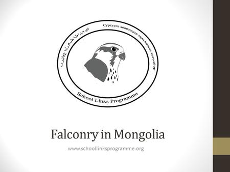 Falconry in Mongolia www.schoollinksprogramme.org.