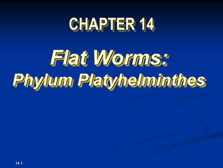 14-1 CHAPTER 14 Flat Worms: Phylum Platyhelminthes Flat Worms: Phylum Platyhelminthes.