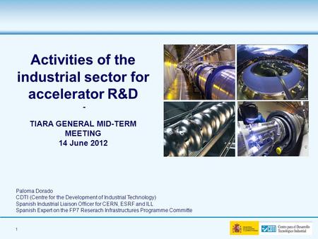 1 Paloma Dorado CDTI (Centre for the Development of Industrial Technology) Spanish Industrial Liaison Officer for CERN, ESRF and ILL Spanish Expert on.