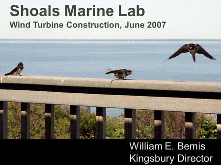 Shoals Marine Lab Wind Turbine Construction, June 2007 William E. Bemis Kingsbury Director.