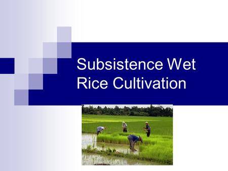 Subsistence Wet Rice Cultivation. What is Wet Rice? It has been estimated that half the world's population subsists wholly or partially on rice. Wet rice.