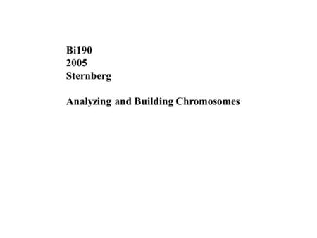 Bi190 2005 Sternberg Analyzing and Building Chromosomes.