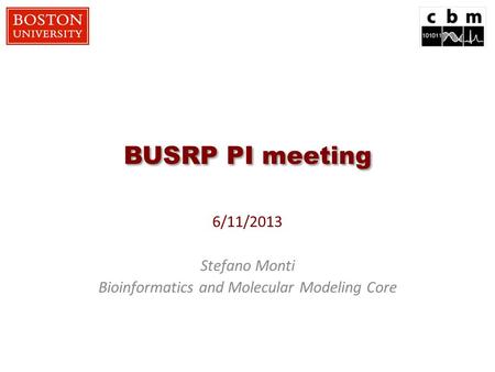 BUSRP PI meeting 6/11/2013 Stefano Monti Bioinformatics and Molecular Modeling Core.