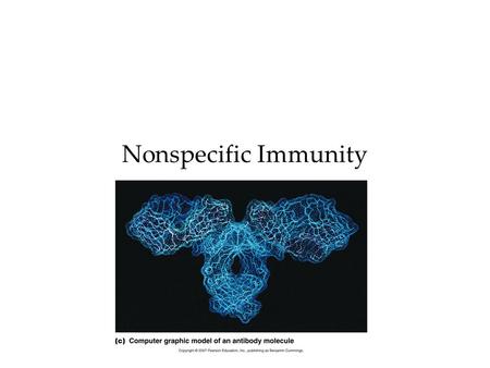 Nonspecific Immunity. What is non specific immunity? Protects regardless of pathogen Includes first and second line of defense –We’ll discuss third line.