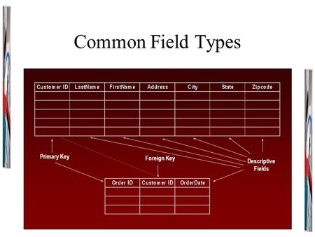 Common Field Types Primary Key Descriptive Fields Foreign Key.