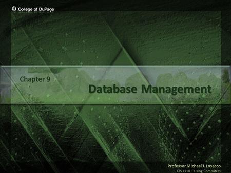 Professor Michael J. Losacco CIS 1110 – Using Computers Database Management Chapter 9.