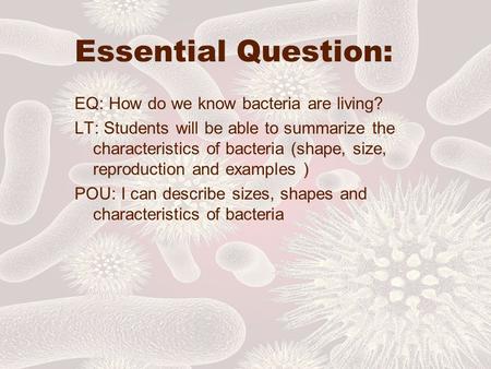 Essential Question: EQ: How do we know bacteria are living? LT: Students will be able to summarize the characteristics of bacteria (shape, size, reproduction.