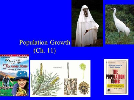 Population Growth (Ch. 11). Population Growth 1) Geometric growth 2) Exponential growth 3) Logistic growth.