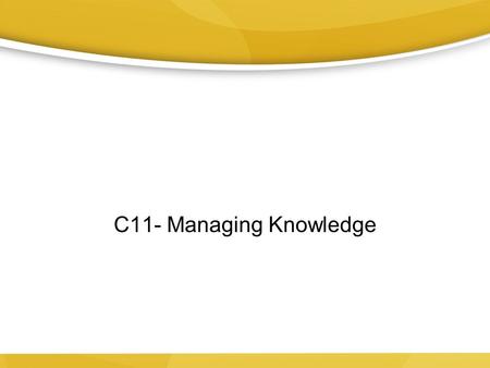 C11- Managing Knowledge.