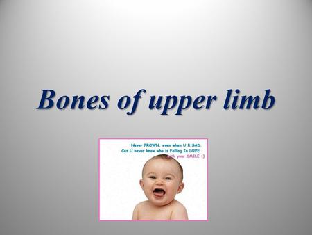 Bones of upper limb. Clavicle GENERAL FEATURES The clavicle is the first bone to begin ossification, which occurs during the 6 th week intrauterine life.