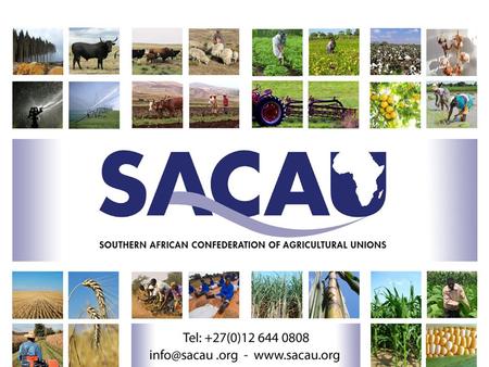 A VIEW FROM ACP FARMERS: SUCCESSES TO DATE AND NEEDS FOR THE FUTURE Ishmael D. Sunga (Chief Executive Officer) Presented at: Brussels Policy Briefing.