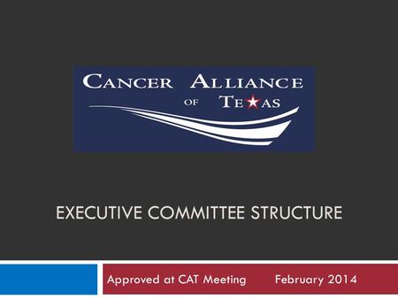 EXECUTIVE COMMITTEE STRUCTURE Approved at CAT Meeting February 2014.