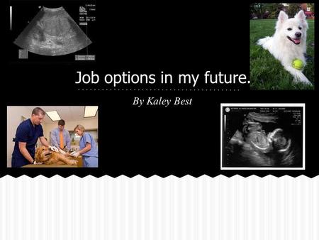 Job options in my future. By Kaley Best. Ultrasound technicians/ Sonographers.