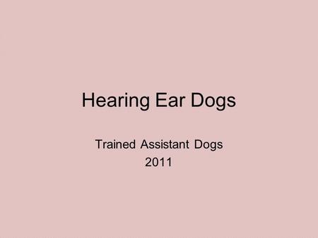 Hearing Ear Dogs Trained Assistant Dogs 2011. Hearing Ear Dogs Hearing dogs for the deaf alert deaf people to sounds, both inside and outside of the home.