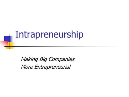 Intrapreneurship Making Big Companies More Entrepreneurial.