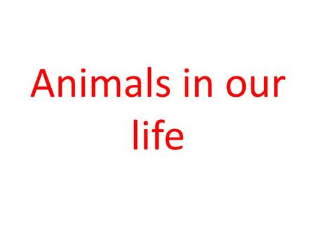 Animals in our life. This animal is small. It lives in the forest. It’s grey or white. It runs very fast and it is afraid of everything. It likes carrot.