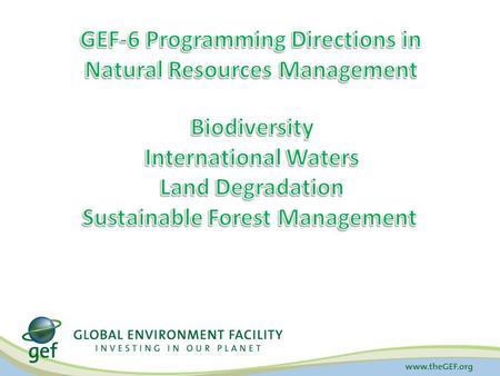 GEF-6 Programming Directions in Natural Resources Management