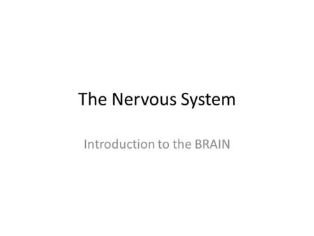 The Nervous System Introduction to the BRAIN. MindBrain.