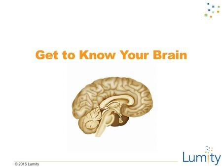 © 2015 Lumity Get to Know Your Brain. © 2015 Lumity Review ■What did we talk about in our last class? ■What are the 5 primary emotions? ■What is the purpose.