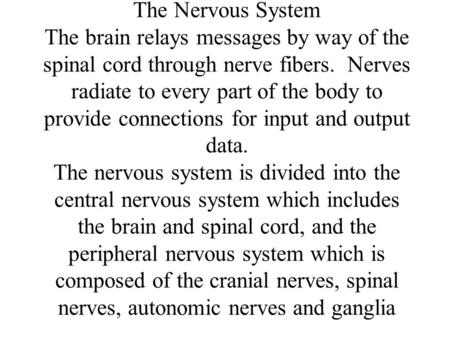 The Nervous System The brain relays messages by way of the spinal cord through nerve fibers. Nerves radiate to every part of the body to provide connections.