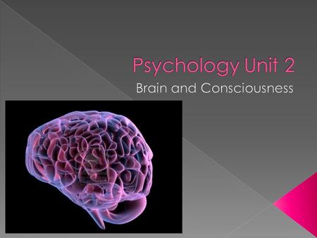  Controls you emotions, movements, thinking and behavior  2 Parts  Central & Peripheral  Central: the brain & spinal cord  Peripheral: Nerves branching.