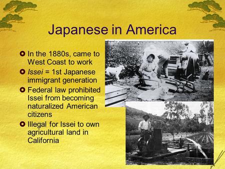 Japanese in America  In the 1880s, came to West Coast to work  Issei = 1st Japanese immigrant generation  Federal law prohibited Issei from becoming.