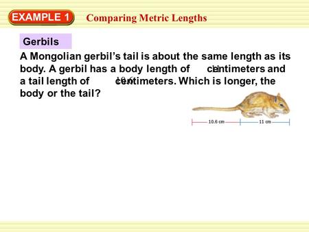 A Mongolian gerbil’s tail is about the same length as its body. A gerbil has a body length of centimeters and a tail length of centimeters. Which is longer,