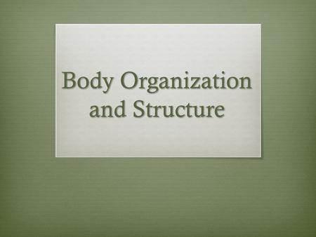 Body Organization and Structure