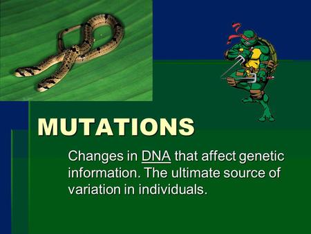 MUTATIONS Changes in DNA that affect genetic information. The ultimate source of variation in individuals.