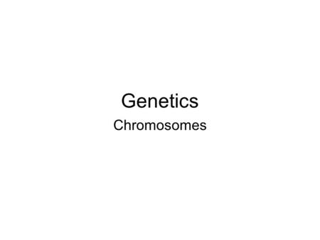 Genetics Chromosomes.