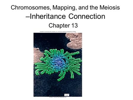 Chromosomes, Mapping, and the Meiosis –Inheritance Connection