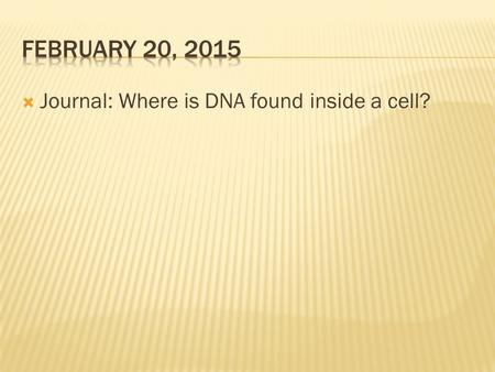  Journal: Where is DNA found inside a cell?.  Usually DNA inside the nucleus is wrapped around proteins to form an ‘X’ shape  These ‘X’ shaped coils.