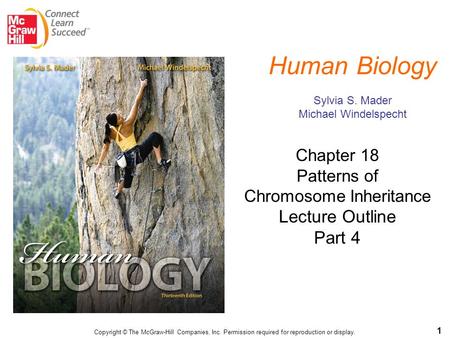 1 Copyright © The McGraw-Hill Companies, Inc. Permission required for reproduction or display. Chapter 18 Patterns of Chromosome Inheritance Lecture Outline.