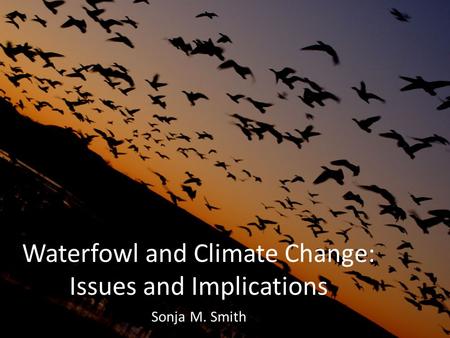 Waterfowl and Climate Change: Issues and Implications Sonja M. Smith.