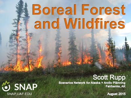 SNAP.UAF.EDU. Area burned in Alaska 1950–1989 Acres burned per year 1950-1989: 27,148,432.