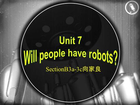 SectionB3a-3c 向家良. 学习目标 语言知识目标： 1) 能掌握本课时单词： Probably 很可能，大概 during 在 …… 期间 holiday 假期，假日 a newspaper reporter 报社记者 take a holiday 度假 one day 有一 天 2)