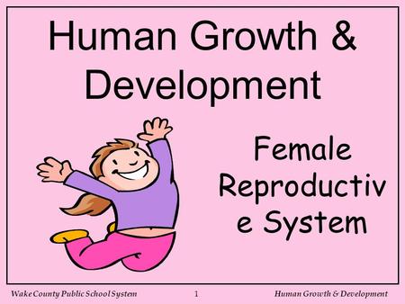 Female Reproductive System