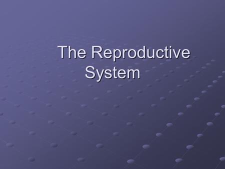 The Reproductive System. Introduction Reproduction is the mechanism by which the thread of life is sustained Reproduction is the mechanism by which the.