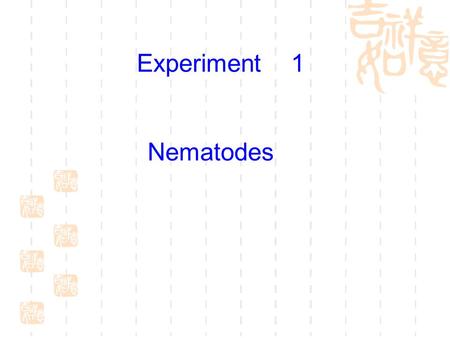 Experiment 1 Nematodes.