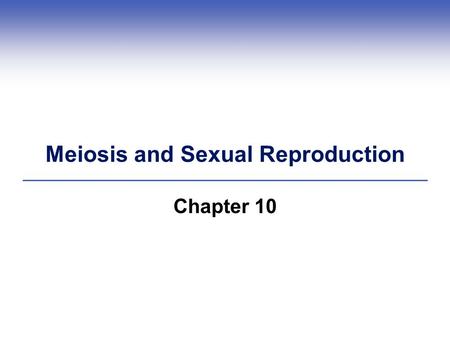 Meiosis and Sexual Reproduction