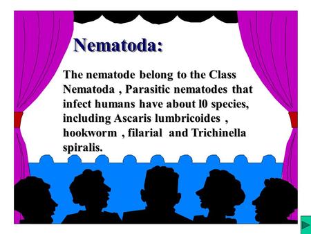 Nematoda: Structure of the adult : 1.Nematodes are generally elongate, cylindrical, and tapered at both ends. 2. The basic body design is a tube within.