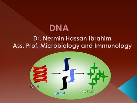 DNA mRNA Protein.  Every living thing is made up of cells.  There are differences between different types of cells, but they’re made of the same building.