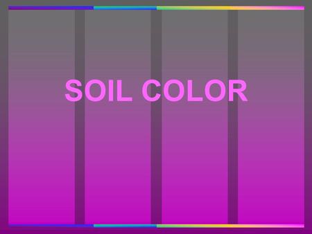 SOIL COLOR. DETERMINANTS OF SOIL COLOR SOIL COLOR DETERMINANTS OF SOIL COLOR 1. Parent Material 2. Vegetation Prairie vs. Forest 3. Age 4. Topography.