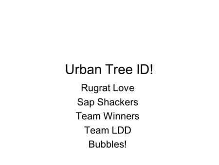 Urban Tree ID! Rugrat Love Sap Shackers Team Winners Team LDD Bubbles!