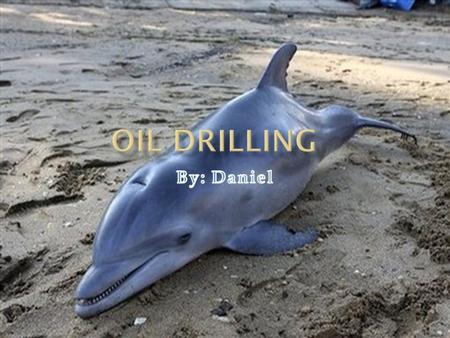 OOil drilling has interfered and ruined natures existent, not only did it vitiation nature, it killed many endangered animals, even people were killed.