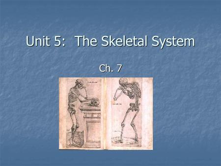 Unit 5: The Skeletal System Ch. 7. General Organization 206 bones* Axial Skeleton – down the center Axial Skeleton – down the center Skull Skull Cranium.