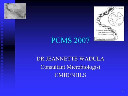 1 PCMS 2007 DR JEANNETTE WADULA Consultant Microbiologist CMID/NHLS.