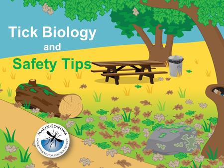 Safety Tips Tick Biology and. Ticks need blood to grow and reproduce.