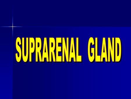 LocationLocation A retroperitoneal gland, lies at the superior pole of the kidney, embedded in adipose tissue. A retroperitoneal gland, lies at the superior.