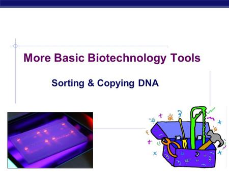 AP Biology 2007-2008 More Basic Biotechnology Tools Sorting & Copying DNA.